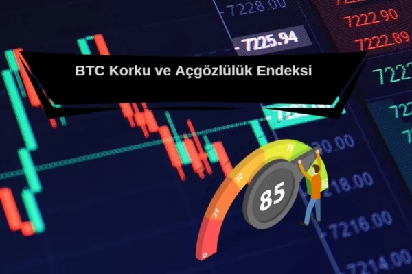 BTC Korku ve Açgözlülük Endeksi, Kripto Korku Endeksi
