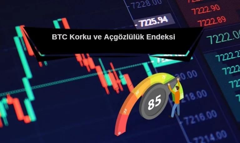 BTC korku endeksi hakkında merak edilenler