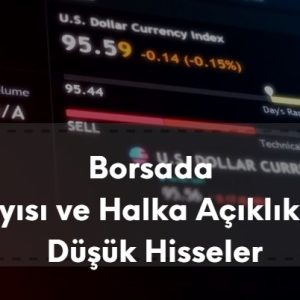 borsada halka açıklık oranı ve lot sayısı az olan hisseler