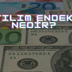 katılım endeksi nedir