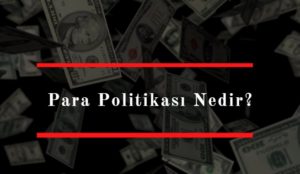 para politikası nedir nasıl uygulanır