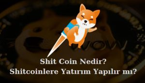 shitcon nedir yatırım yapılır mı