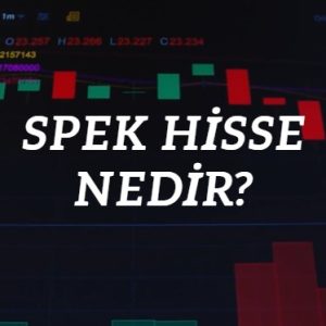 spek hisse ne demek, hangi hisseler spek hissedir?